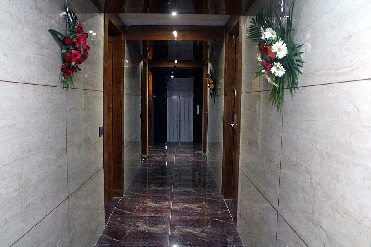 undefined The Daffodils 3