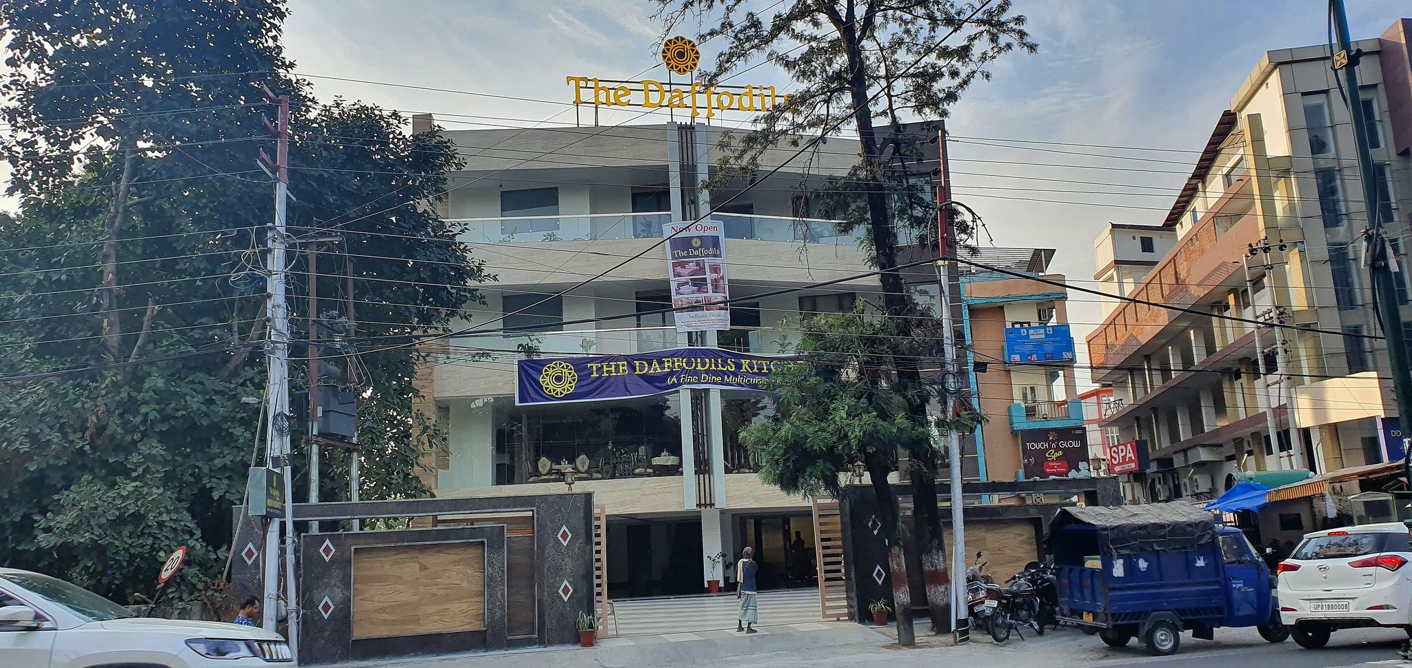 undefined The Daffodils 9