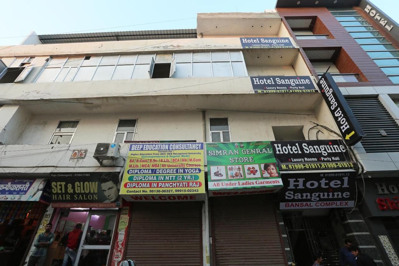 OYO 24763 Hotel Blue Moon