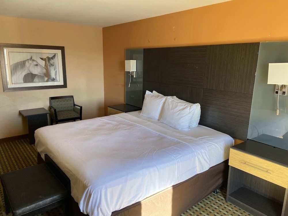 Quality Inn Amarillo West near Medical Center Standard Room, 1 King Bed, Non Smoking 5