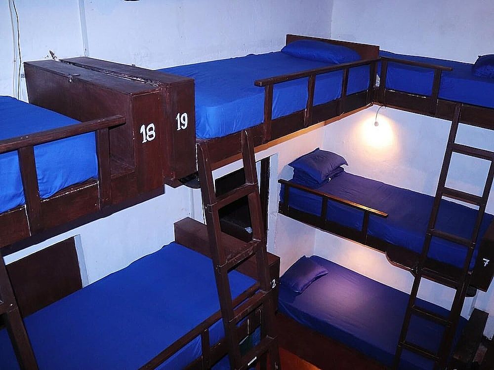 undefined That Crazy Hostel 7