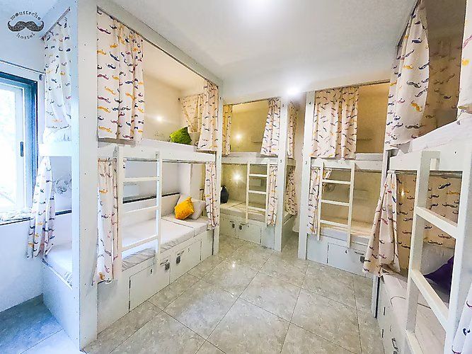 Standard 12 Bed Mixed Dorm With Cooler