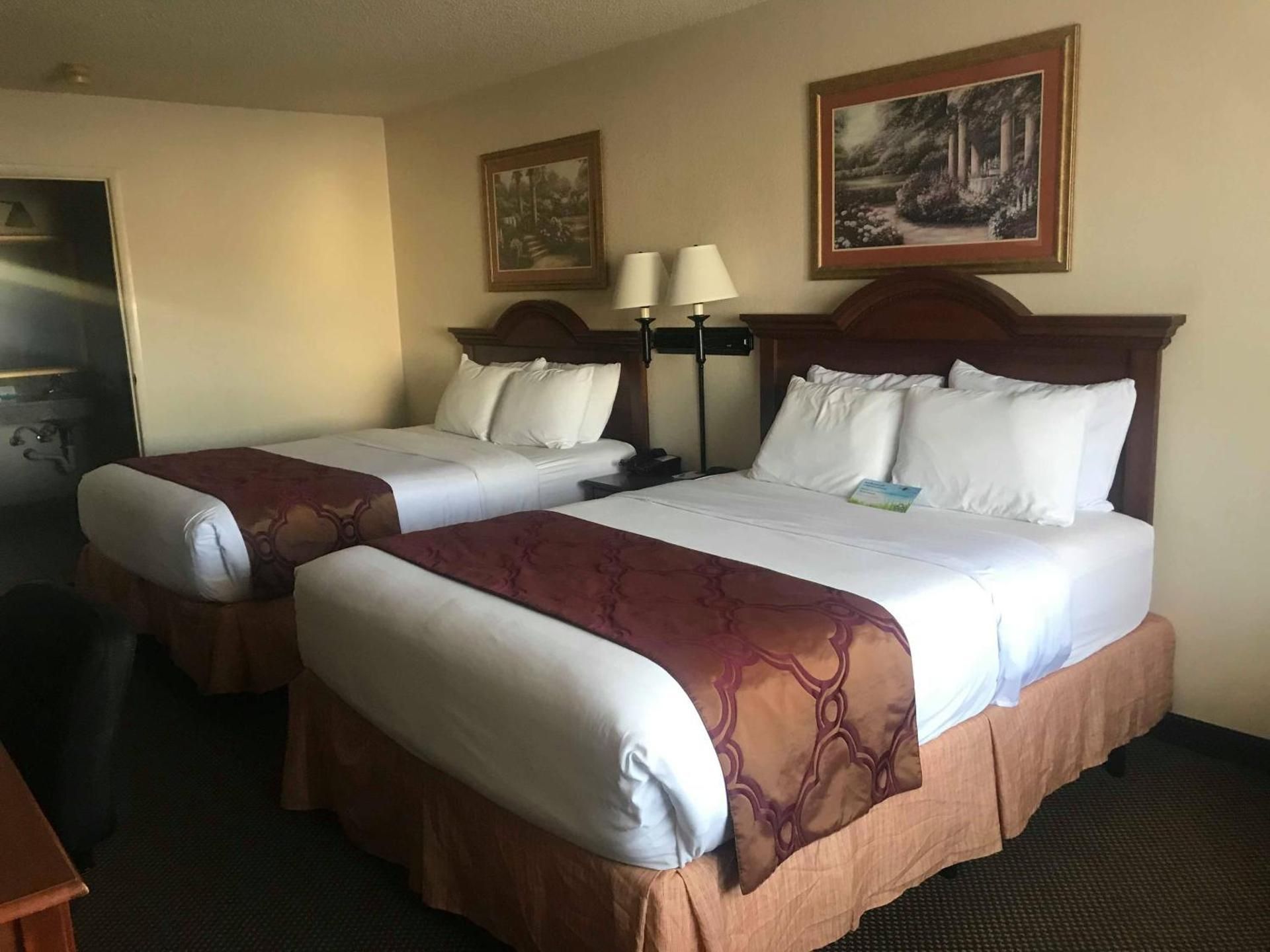 1 Queen Bed, Mobility Accessible Room, Roll-In Shower,Non-Smoking