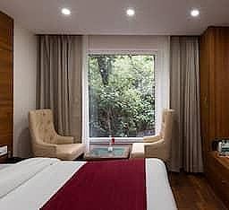 Deluxe Room ( Non View)
