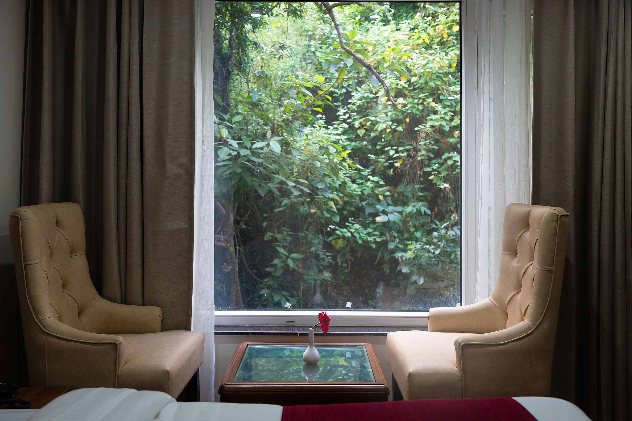 Hotel Wild Wood Deluxe Room ( Non View) 10