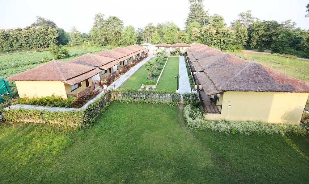 undefined Treebo Tigers Pug Marks 3