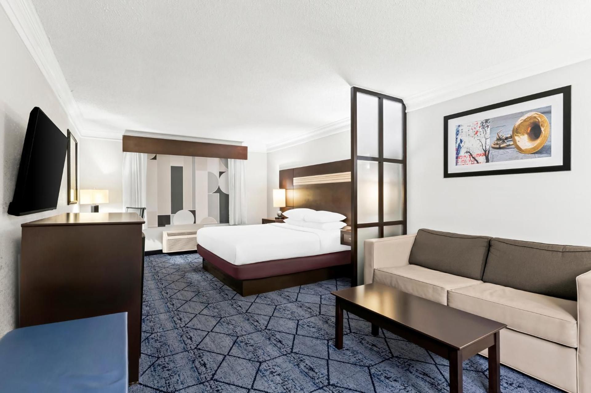 1 King Bed, Nonsmoking, Studio Suite, Sofa Pullout