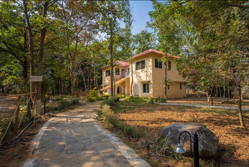 undefined Jungle King Resort