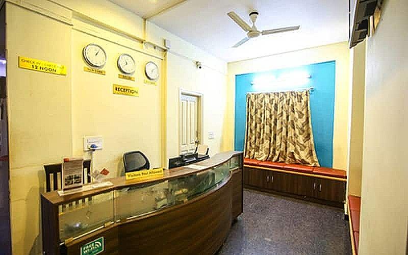 undefined Collection O The Olive Shine 2