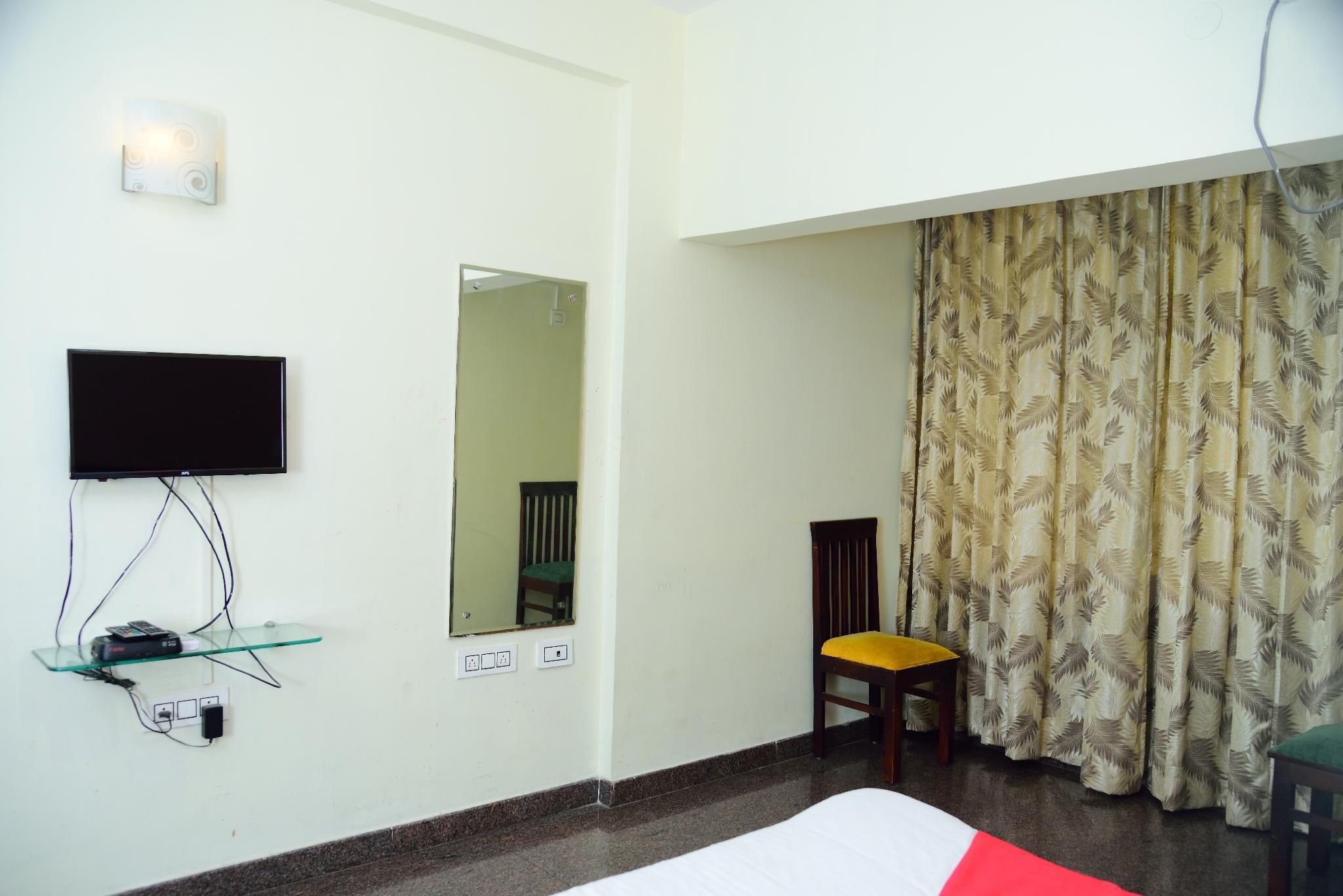 undefined Collection O The Olive Shine 6