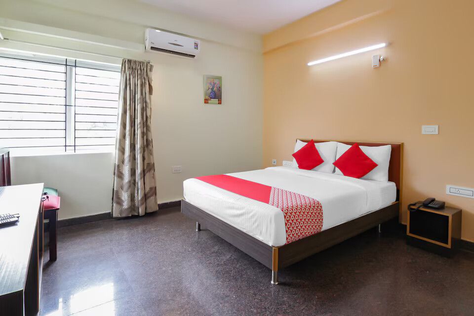 undefined Collection O The Olive Shine 5