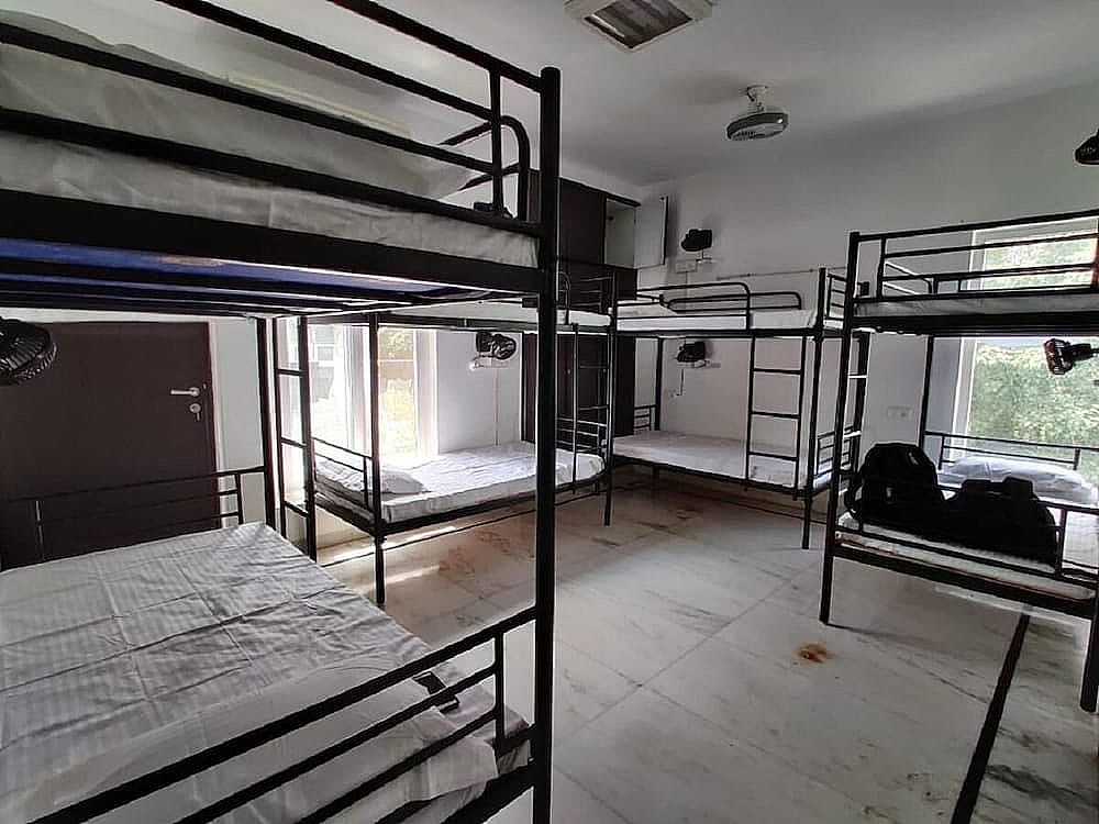 undefined A sleepy Fox - Hostel 2