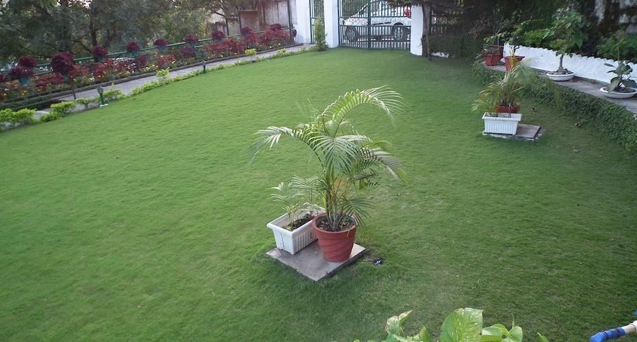 Lawn Area