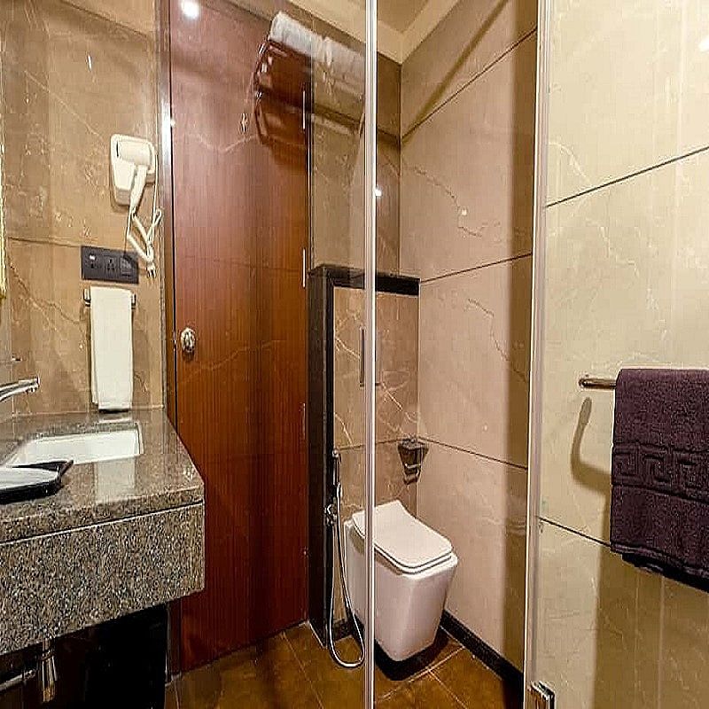 Hotel M Pro Palace Mysore - 12 Minutes to Mysore Palace Deluxe room with city view  11