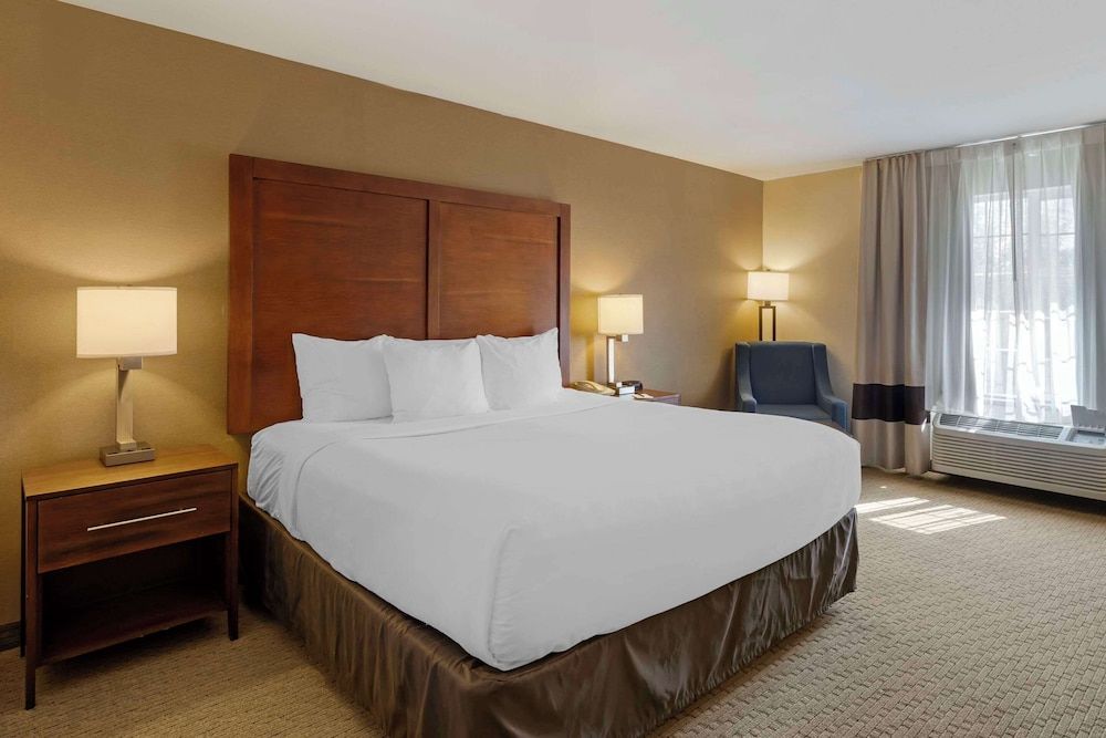 Standard Room, 1 King Bed, Non Smoking