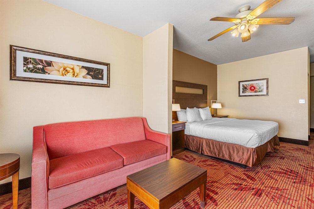 Standard Room, 1 King Bed, Non Smoking, Refrigerator & Microwave (Oversized Room)