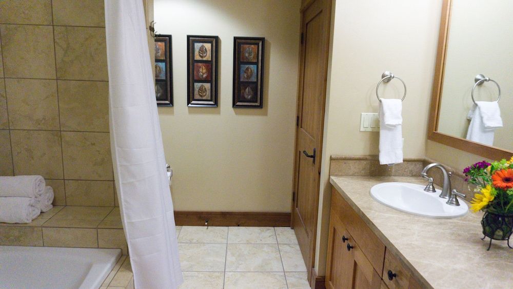 Premier Condo, 1 Bedroom (Northstar Village Condos)