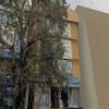 hotel_images