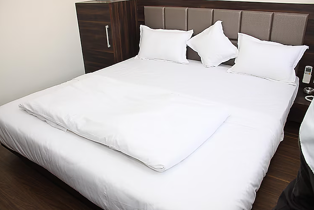 Hotel Royal Pride Deluxe Room 2