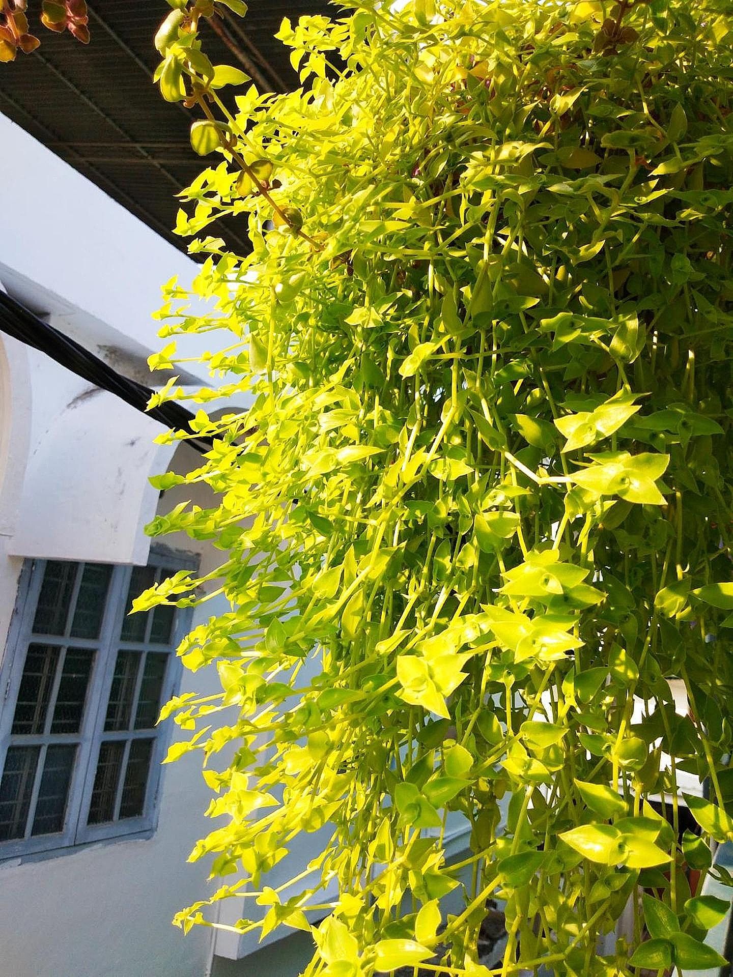 undefined Heather Holiday Homes 2