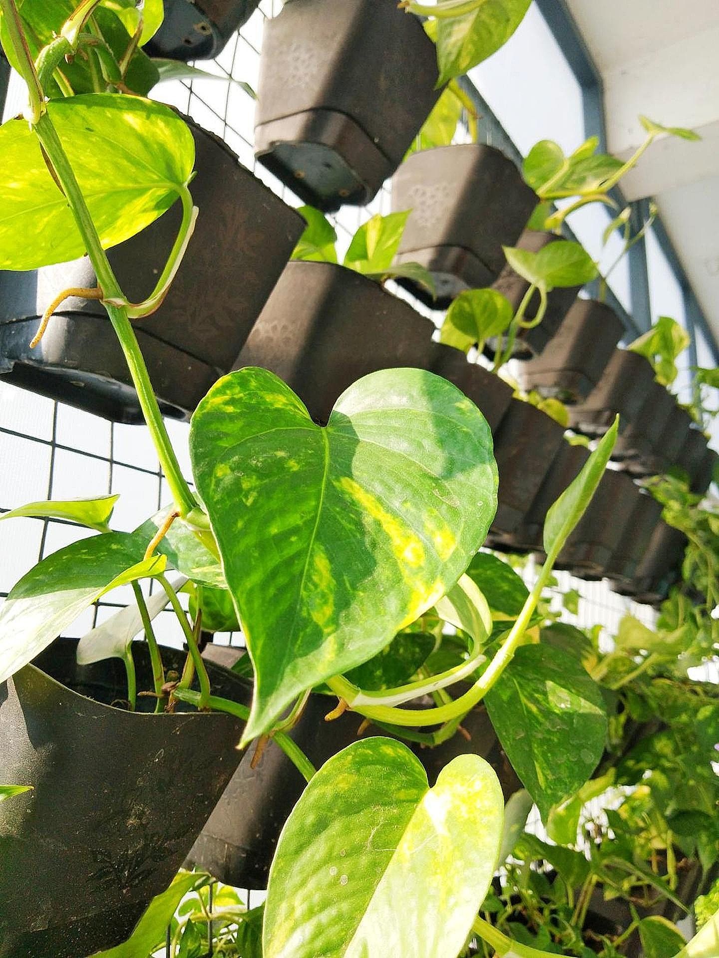 undefined Heather Holiday Homes 6