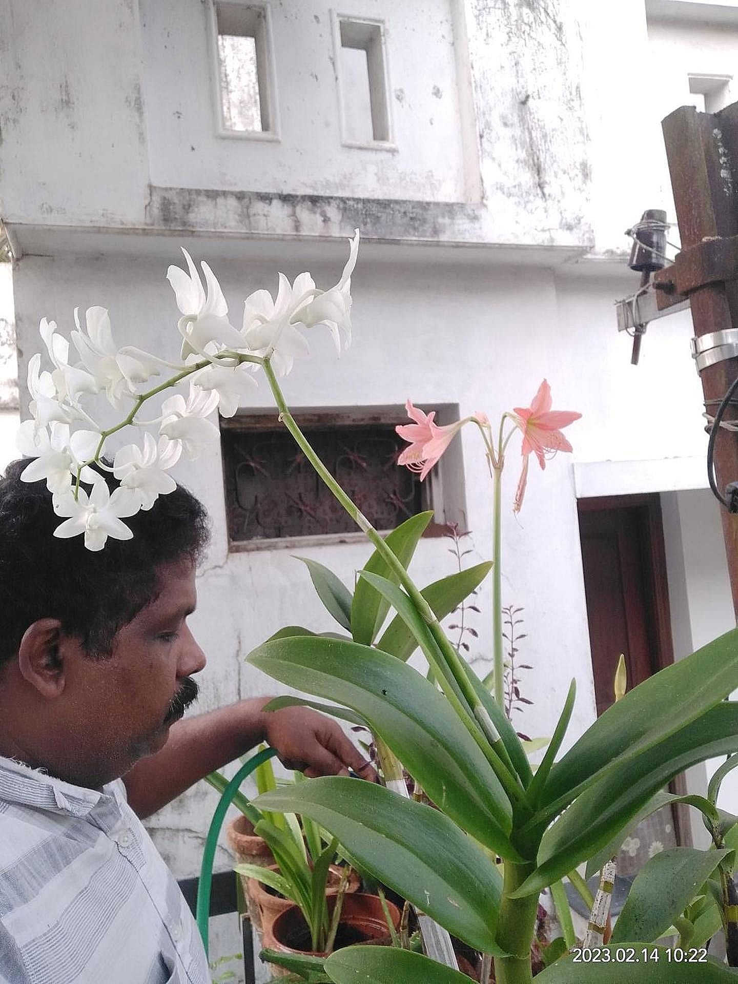 undefined Heather Holiday Homes 4