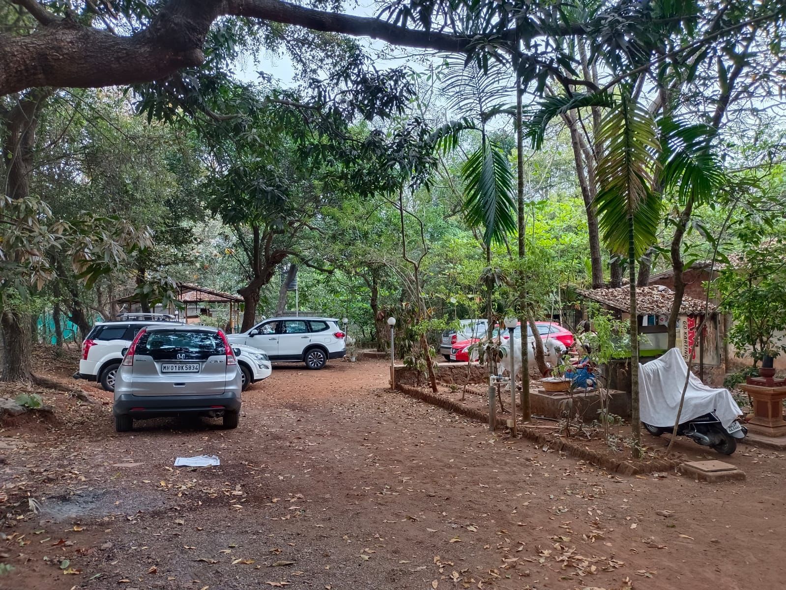 Natures Nest Resort Mandwa