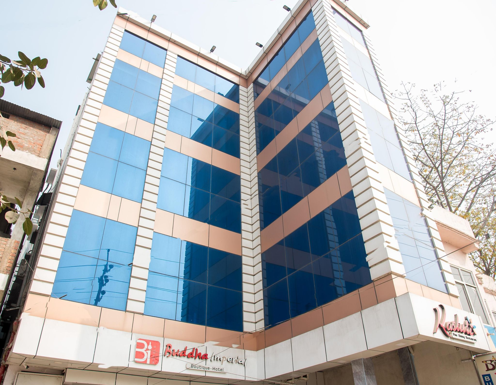 undefined Buddha Imperial 8