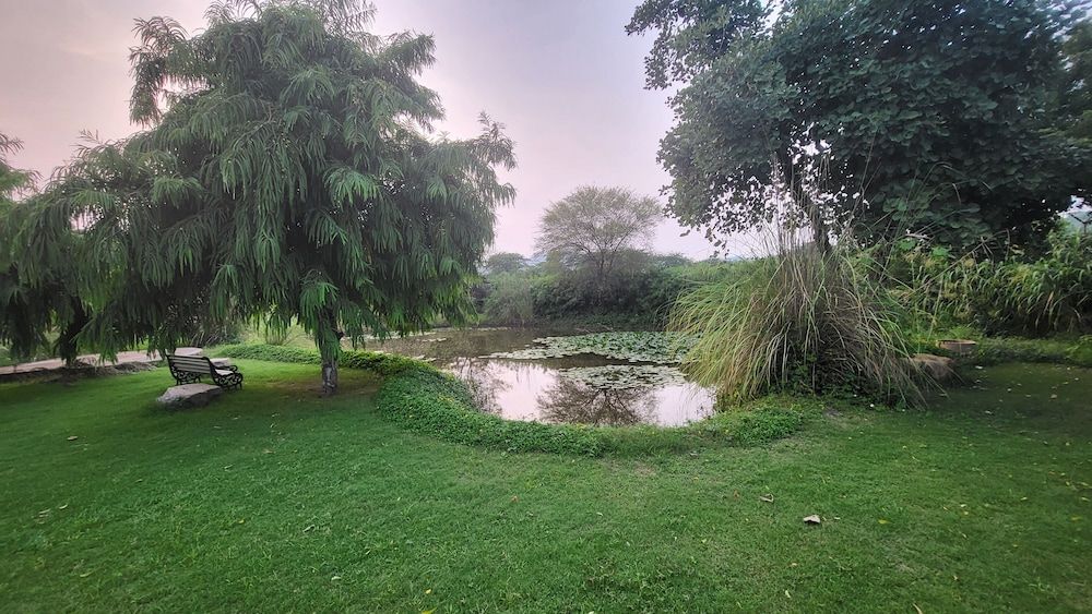 Children's Play Area