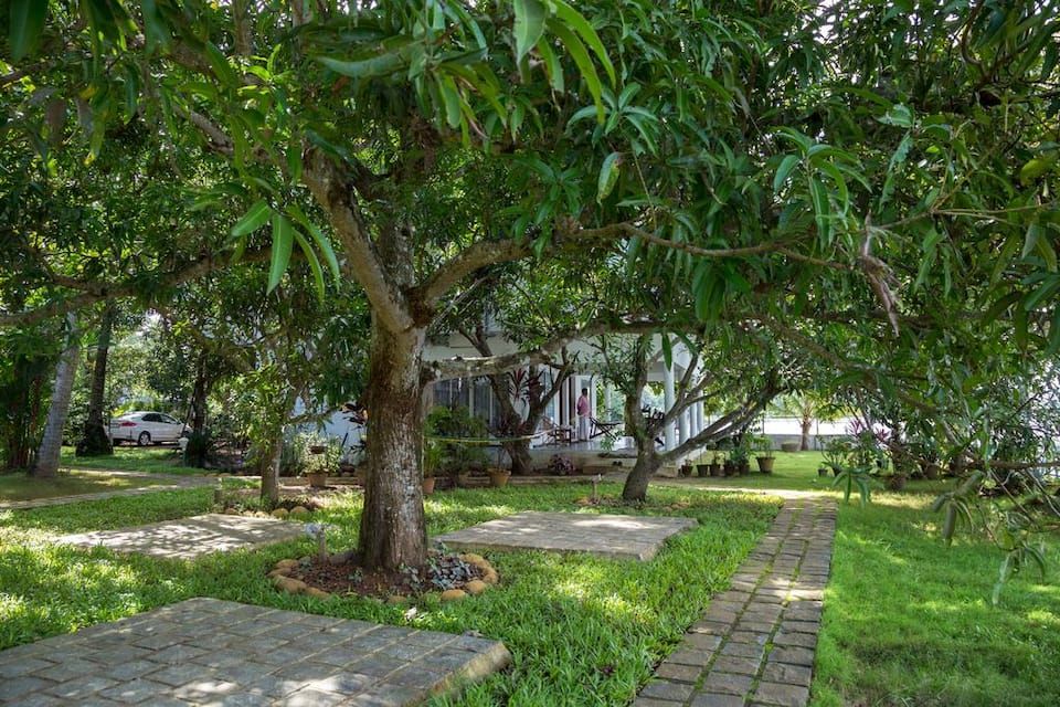 Outdoor area