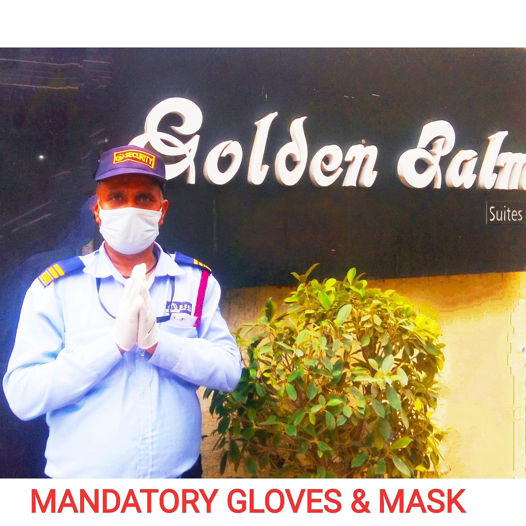 undefined Golden Palm Suites 9