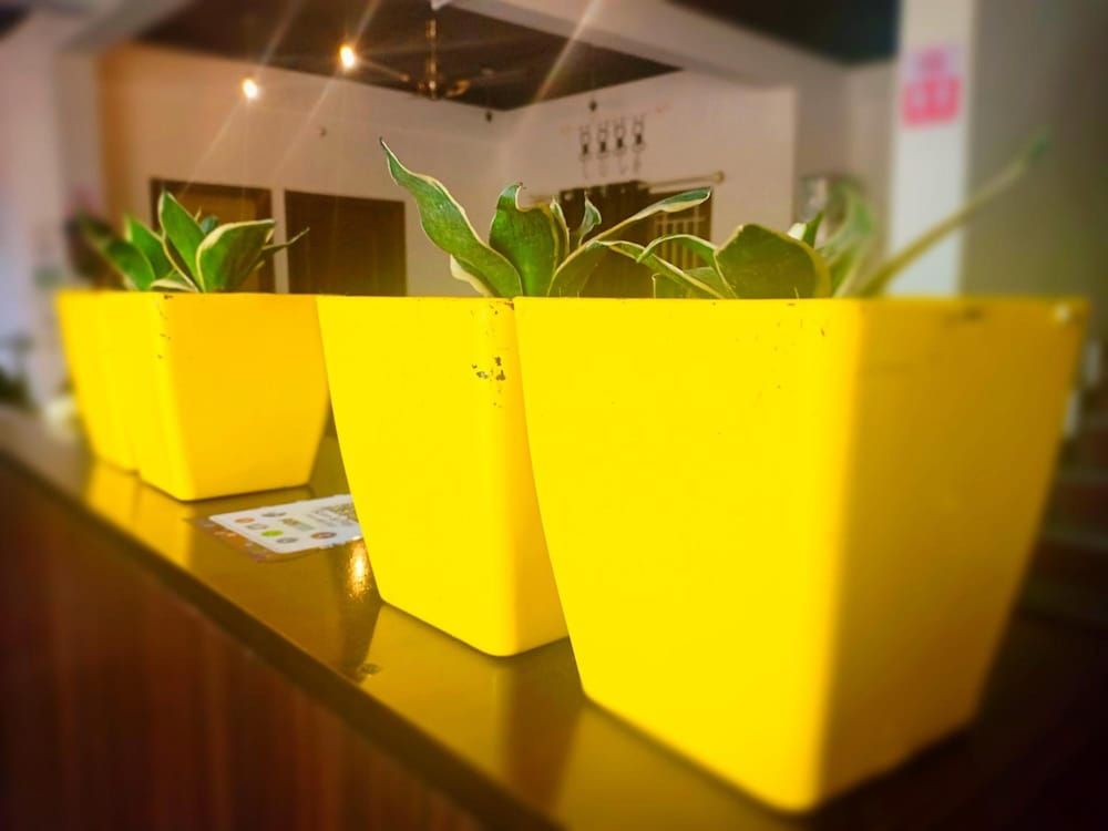 undefined Transit Dorms - Hostel 4