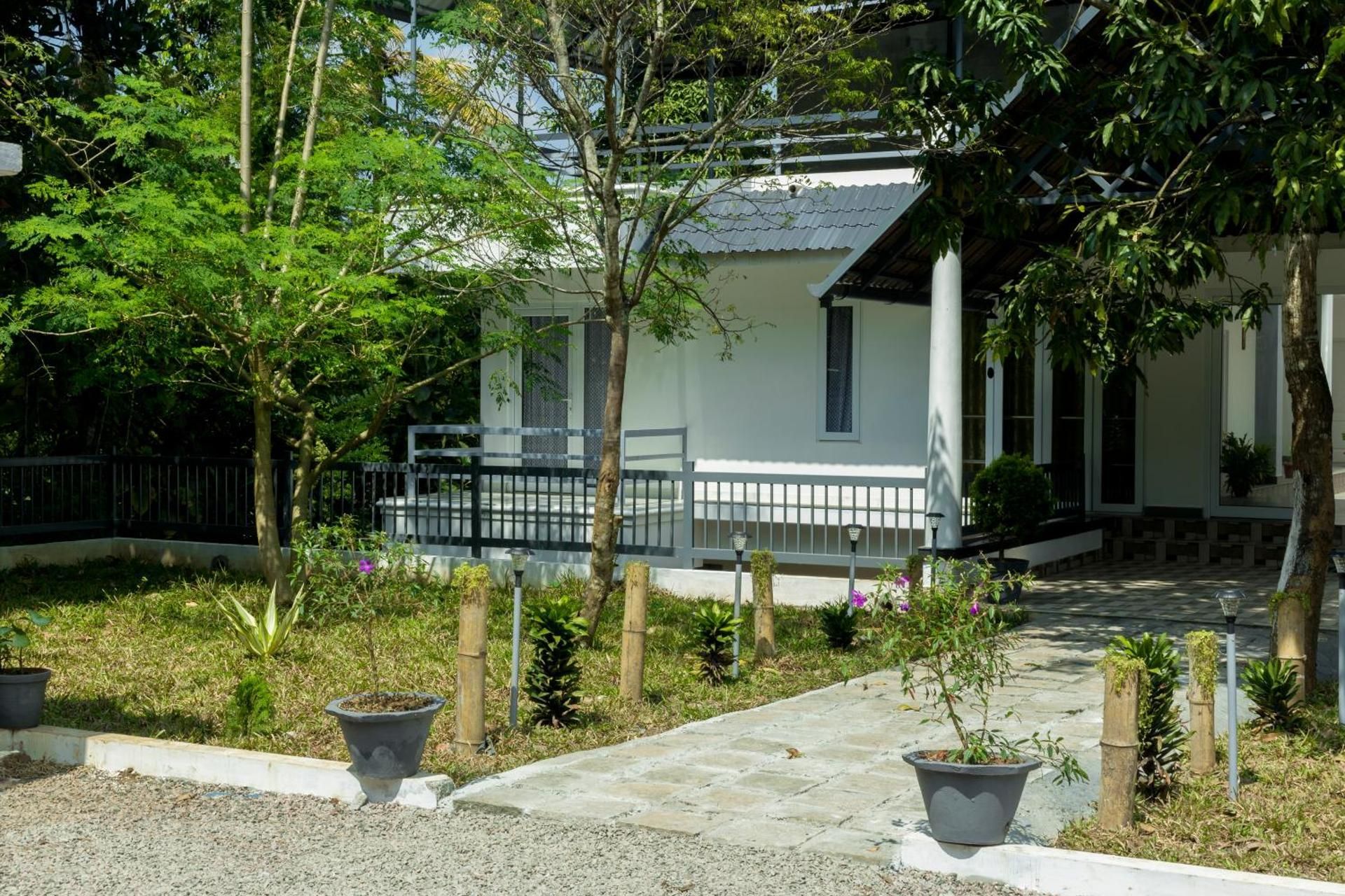 undefined Bamboo Creak 5