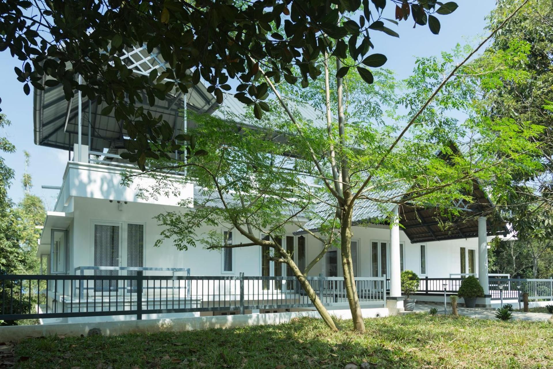 undefined Bamboo Creak 8