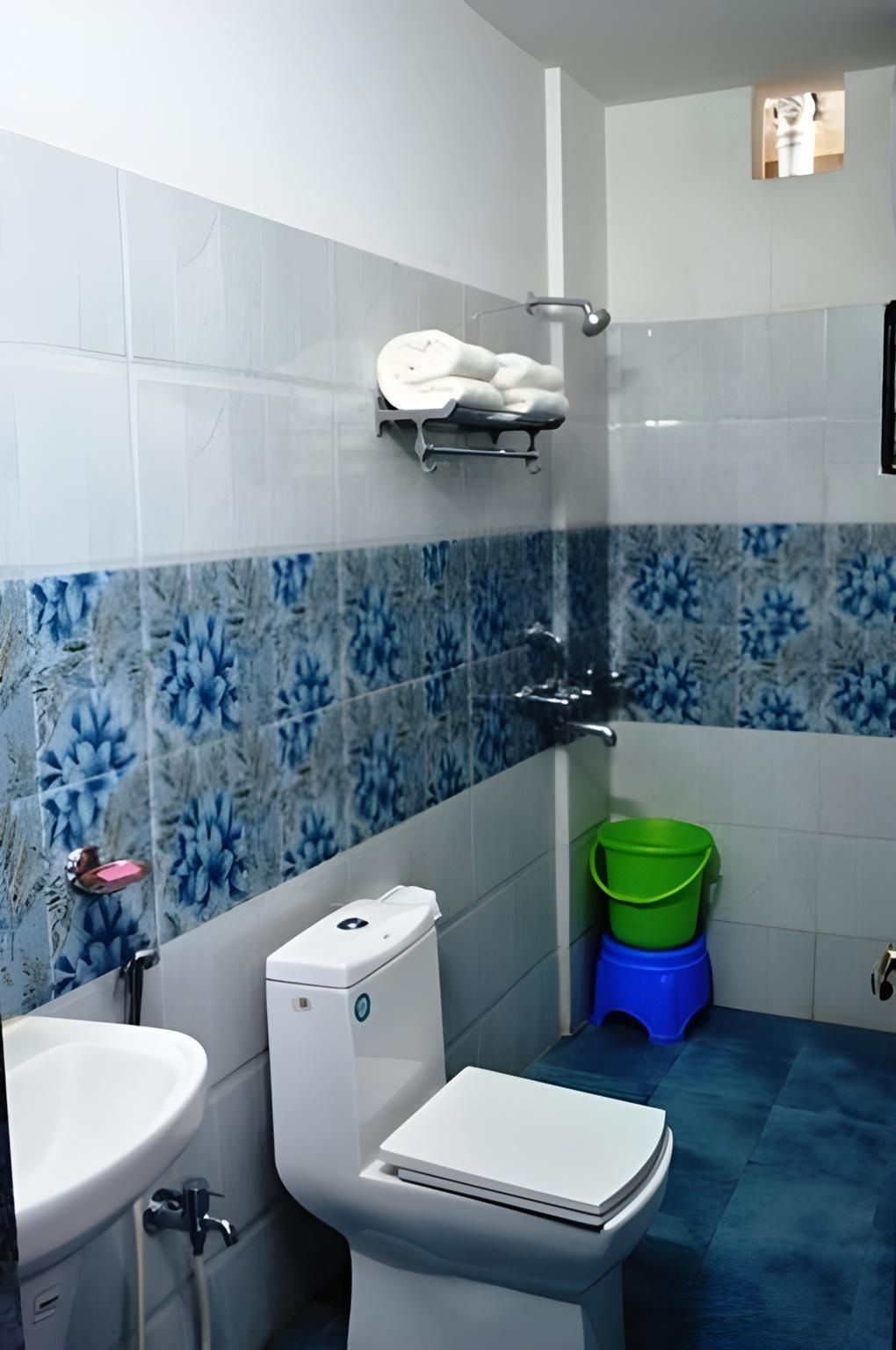 Hotel Nagina Palace Standard Deluxe Room 4