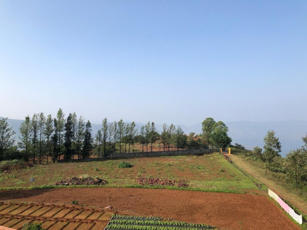 undefined Hotel Valley Exotica 4