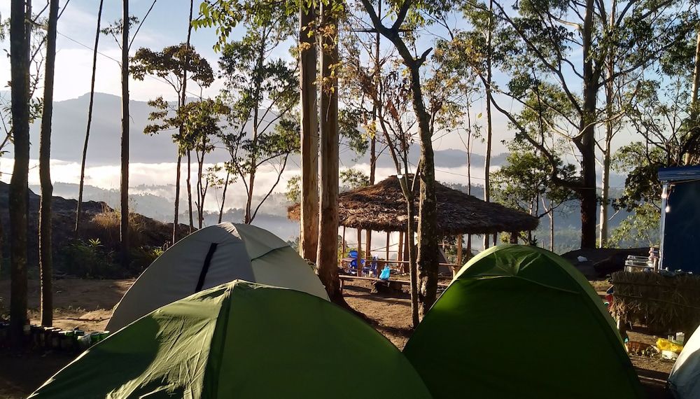 undefined Munnar Jungle Camp 8