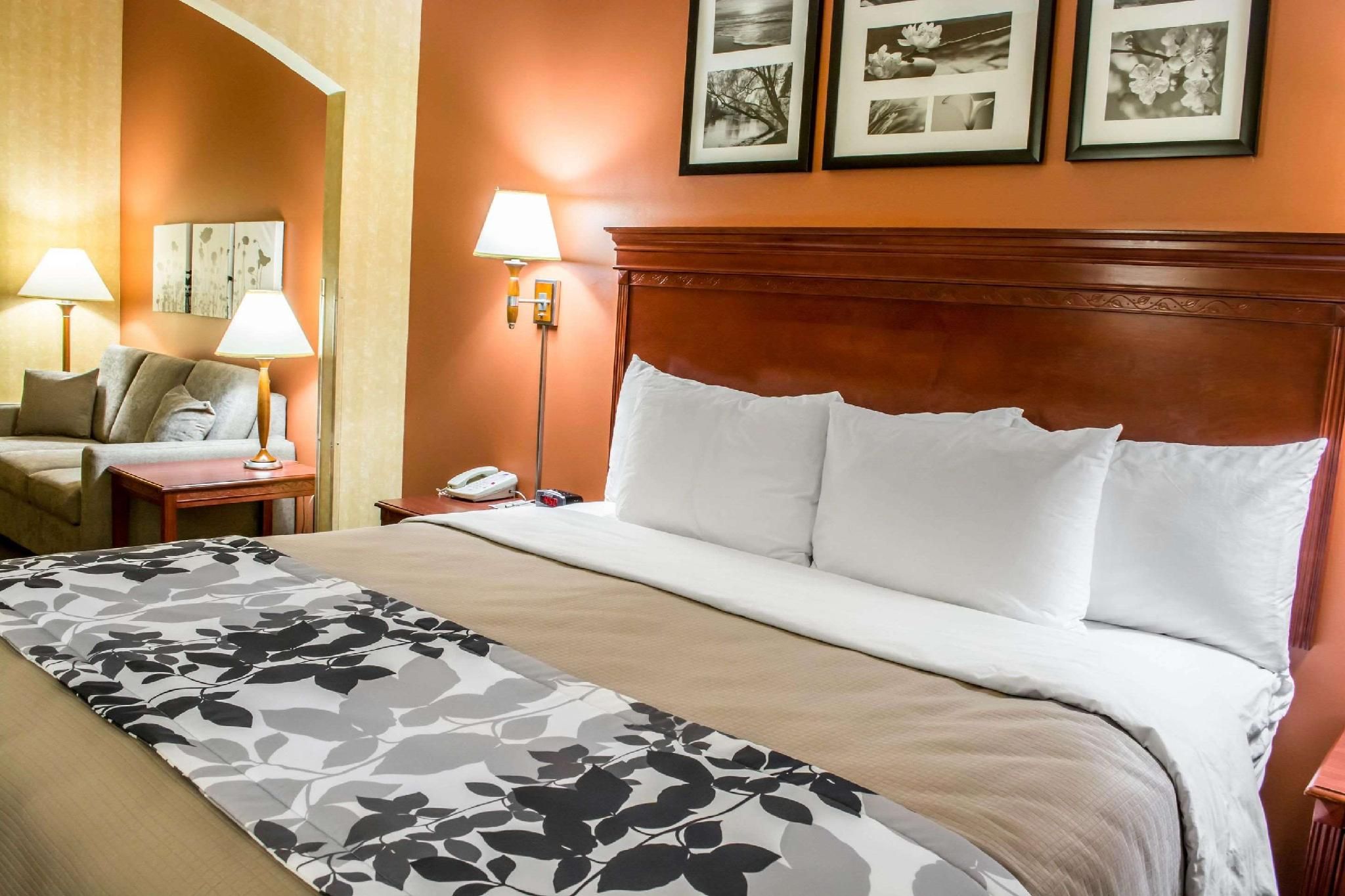 1 King Bed, Suite, Smoking