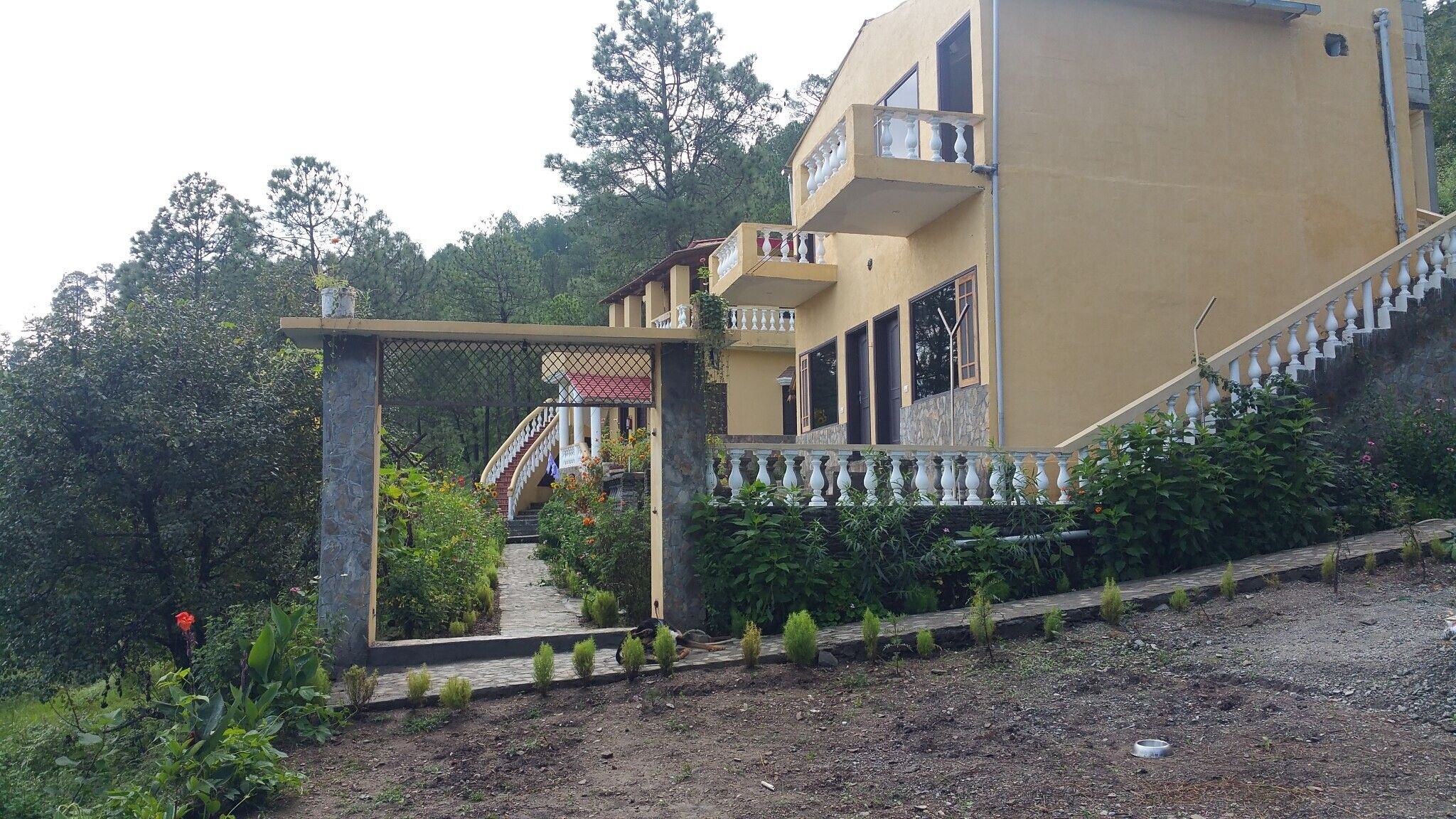 Hi Five Cottages