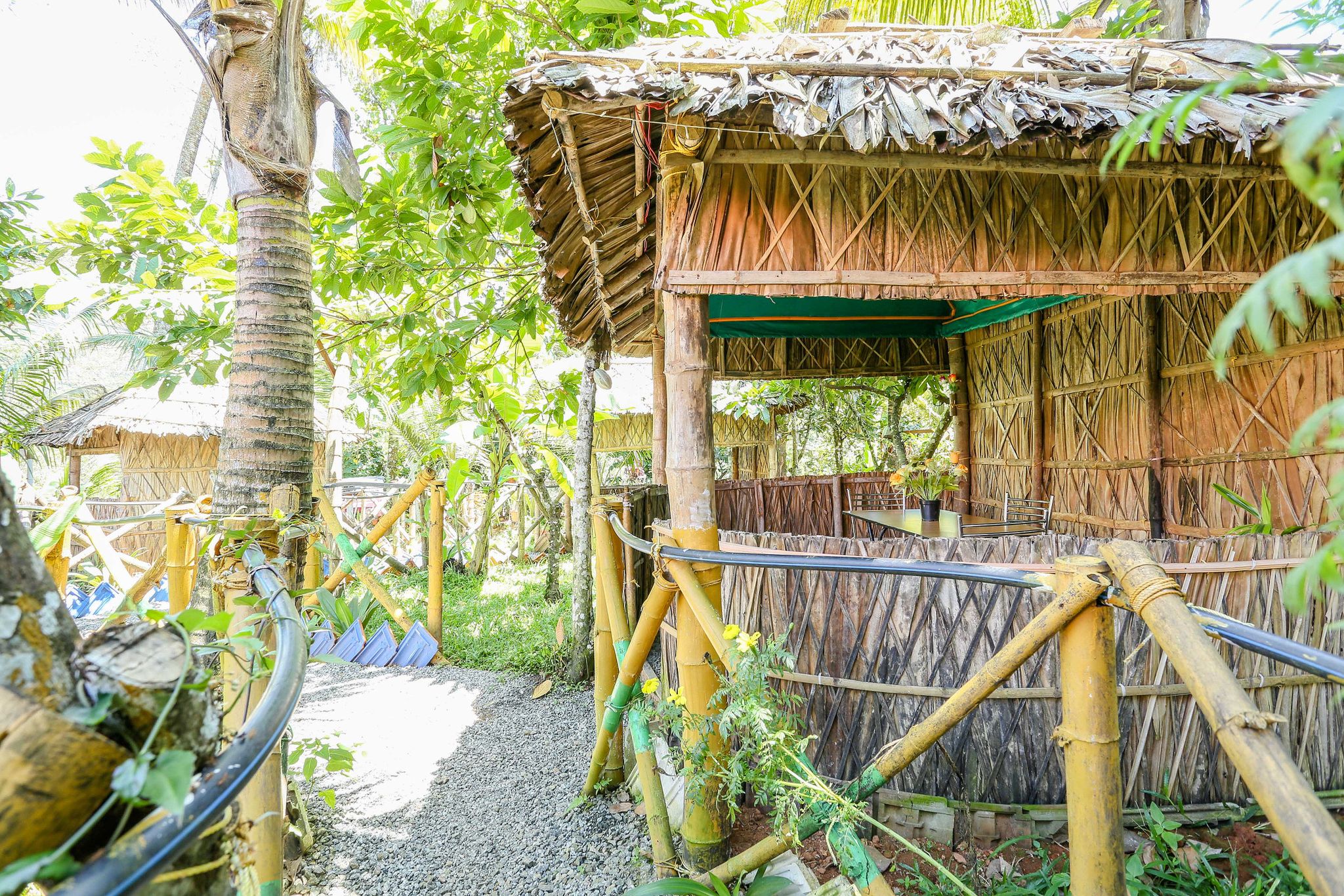 undefined Ans Mariya holidays 8