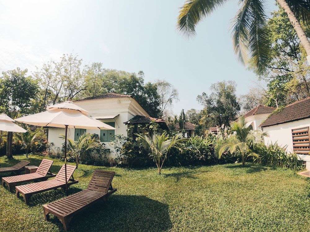 The Project Cafe Goa Grand Double Room, 1 King Bed, Garden View 5