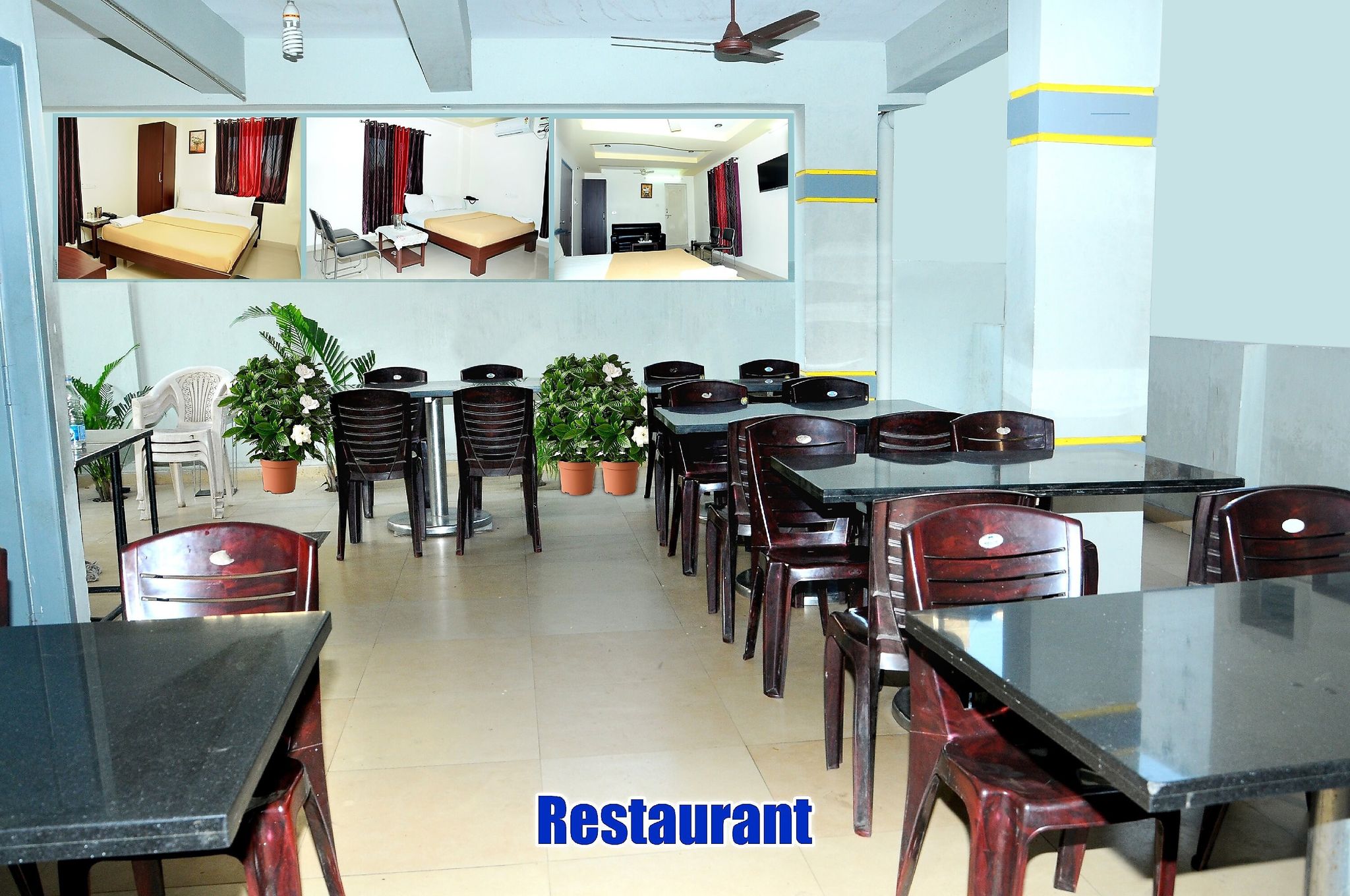 Food & Dining