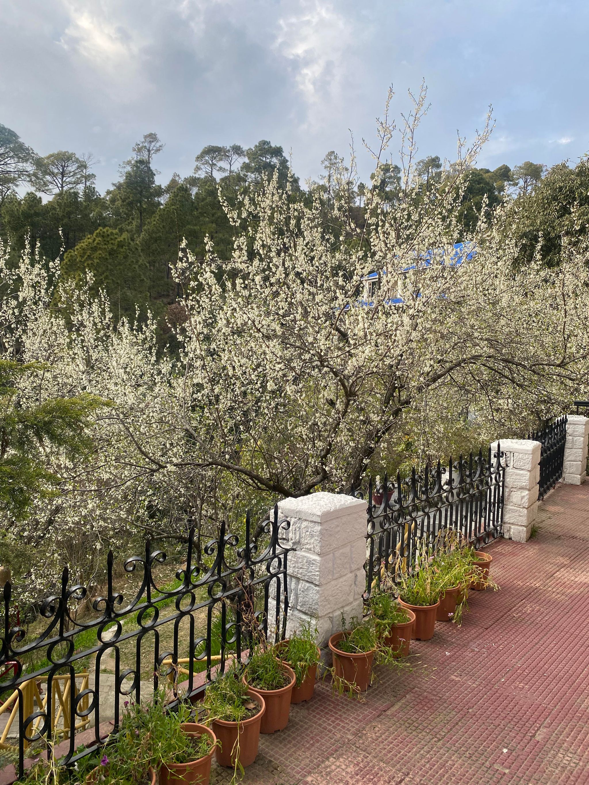 undefined Tilsharit Green Rooms & Cottages 9