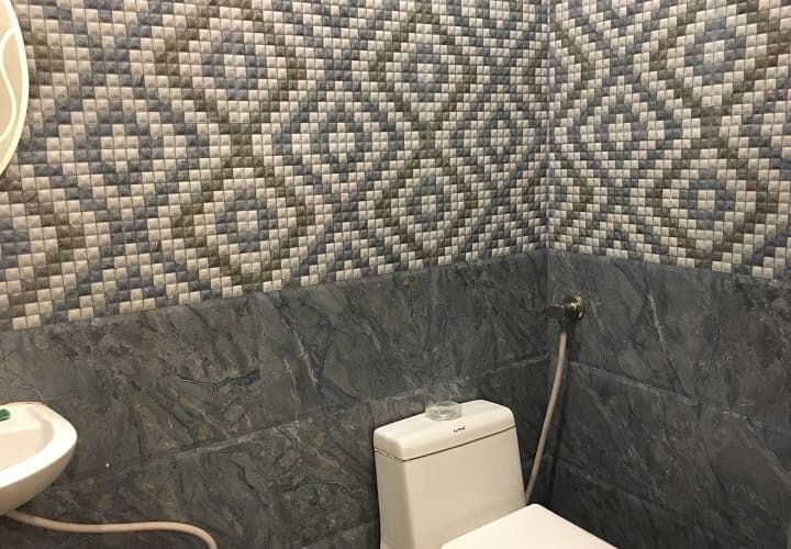 undefined Hotel Hansa Palace 8