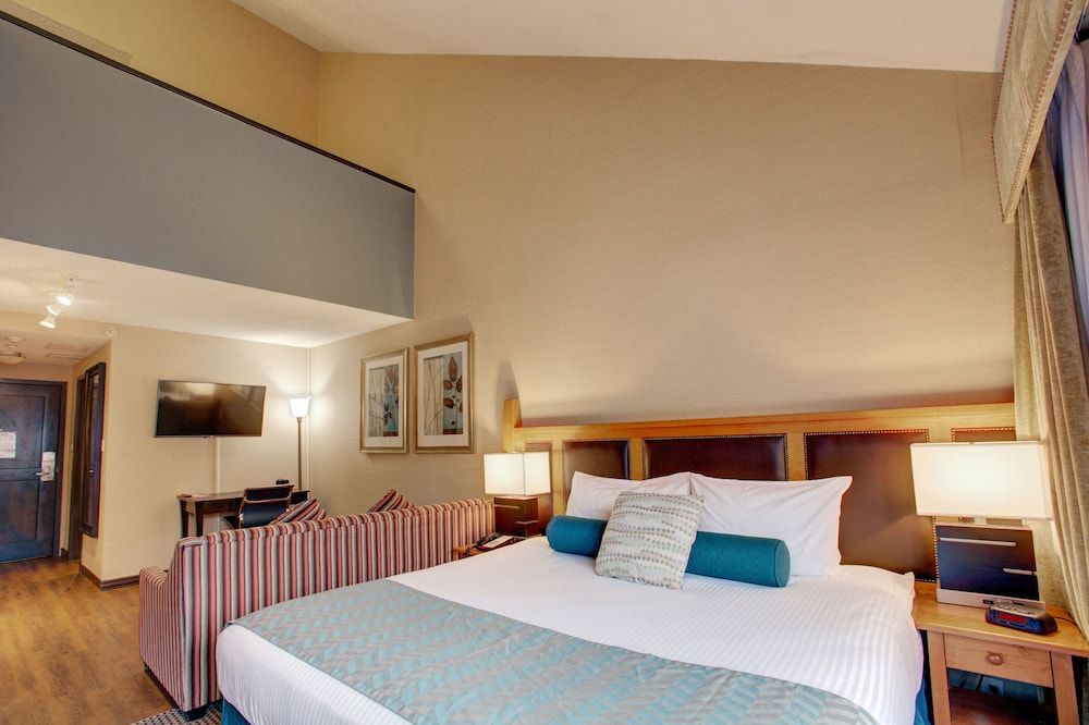 Blackcomb Lodge Family Studio Suite, Multiple Beds