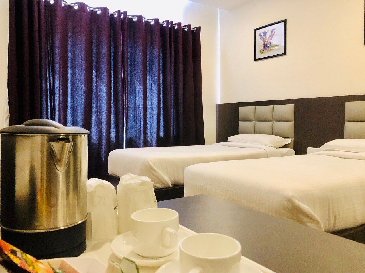 Golden Parrk Deluxe Ac Room 9