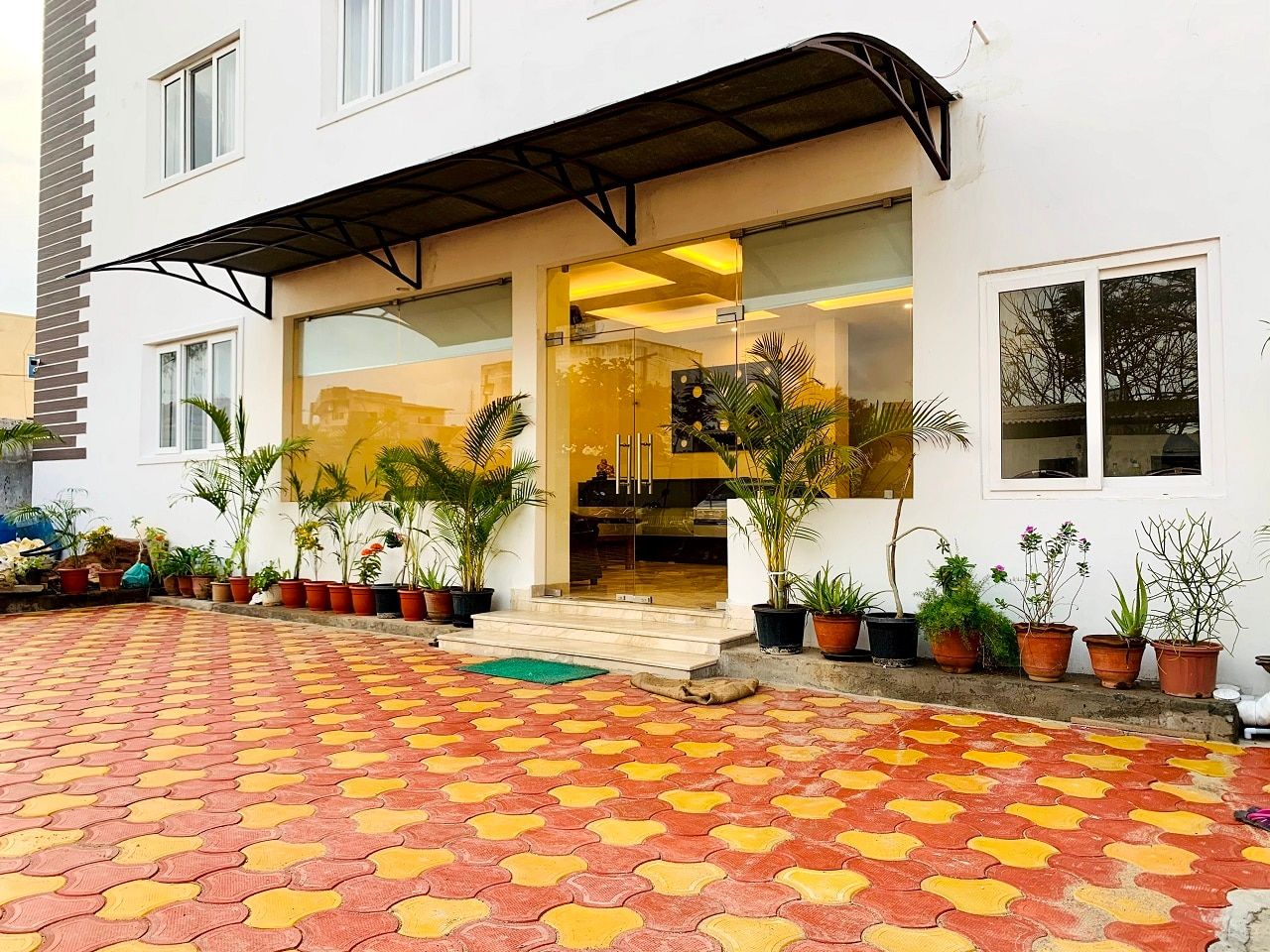 undefined Golden Parrk 6