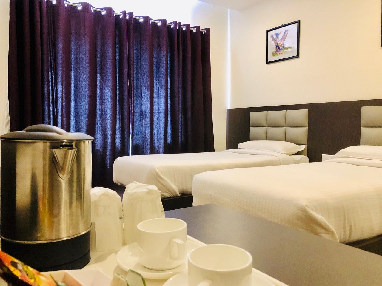 Golden Parrk Deluxe Ac Room 8