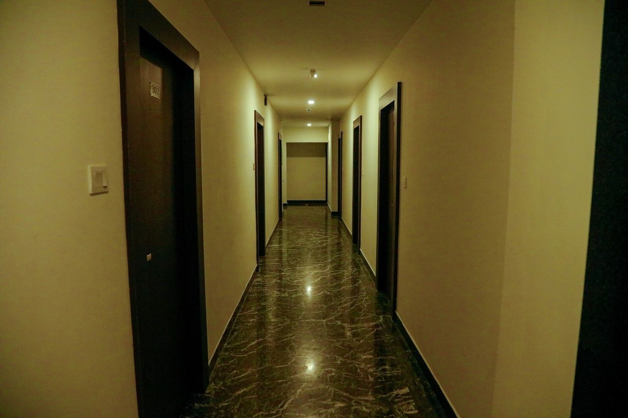 undefined Golden Parrk 3