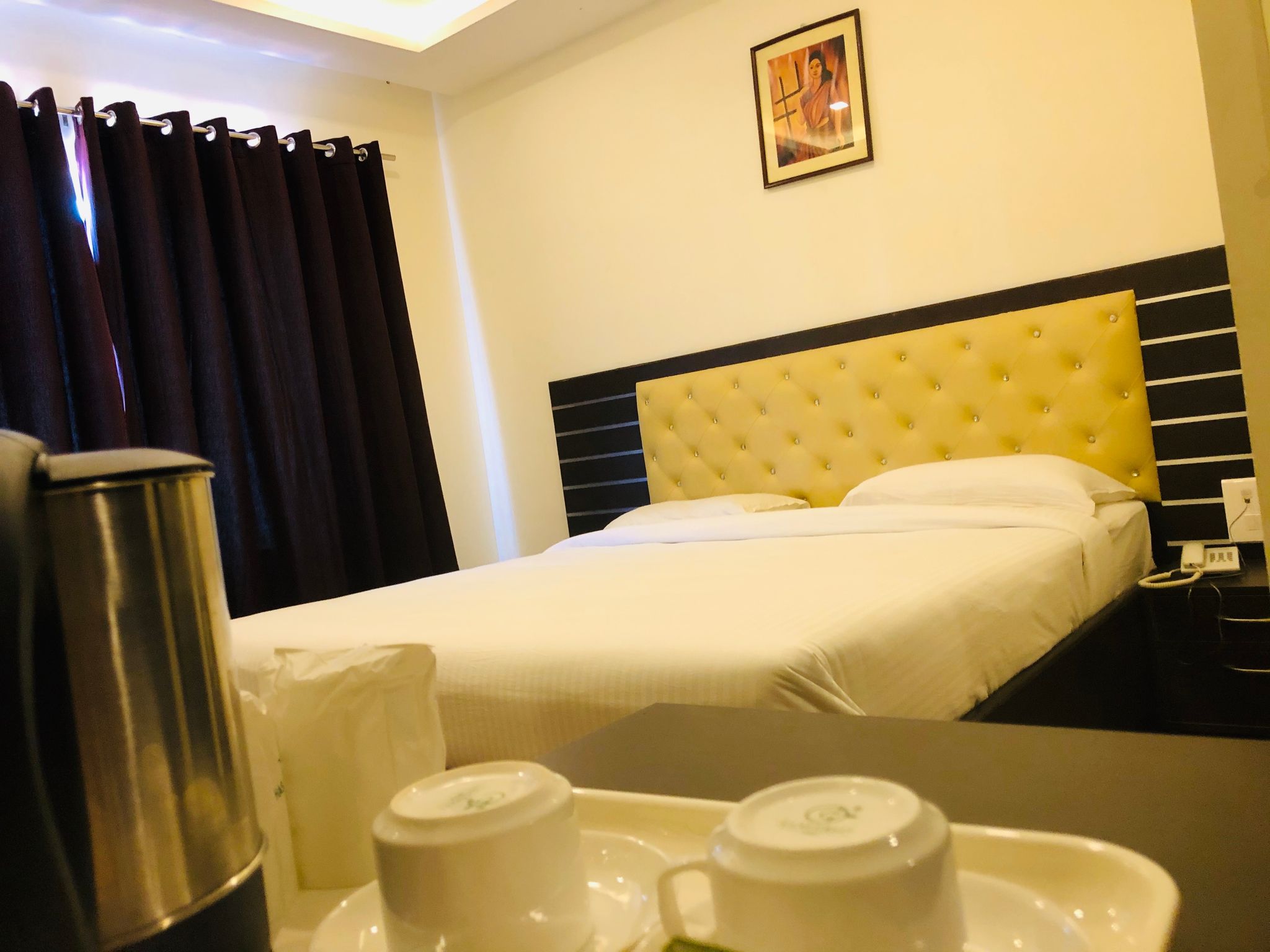 Golden Parrk Deluxe Ac Room 5